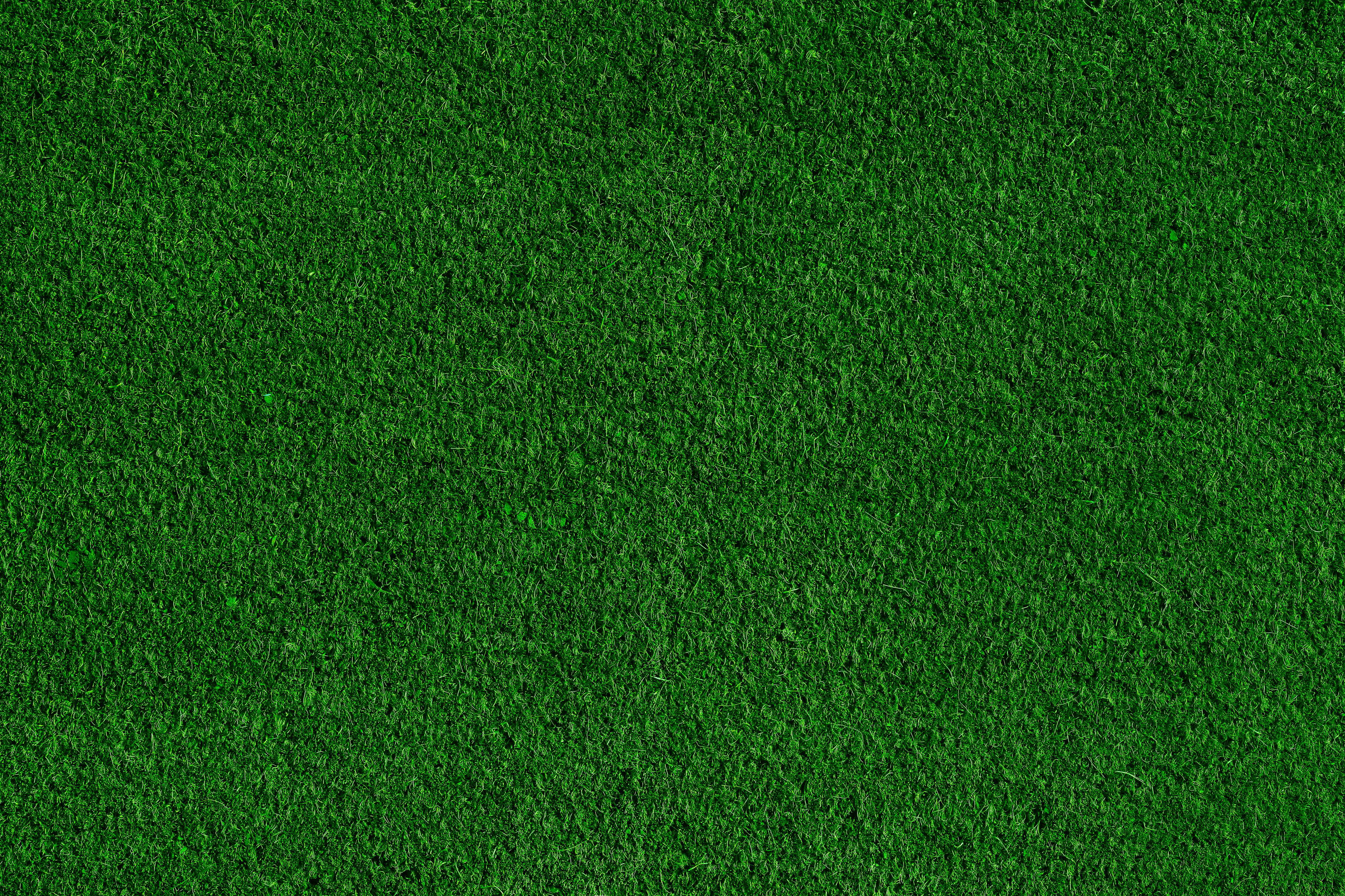 Green Grass